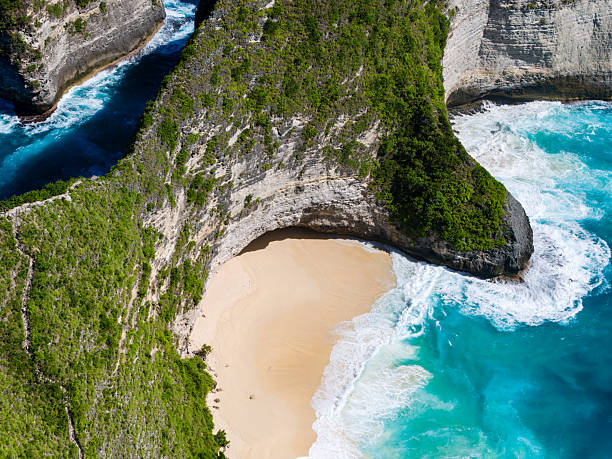 istock Famous T-Rex Cliff and Tropical Beach from Above 2244859810