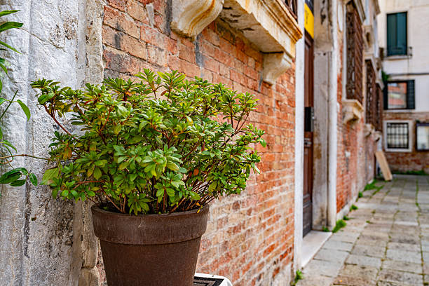 Ancient brick wall and Window in Venice, Italy - Street view of Santo Stefano Bell Tower, Venice, Italy