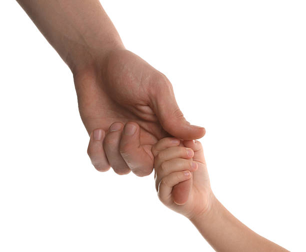 istock Father and child holding hands on white background, closeup 2244861984