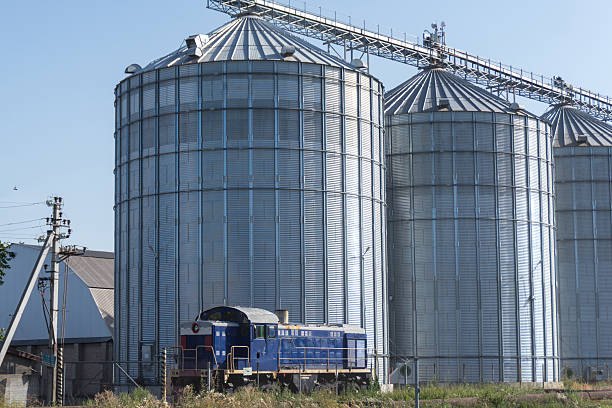 A blue locomotive sits beside tall silver grain silos in a rural area, showcasing agricultural industry on a clear sunny day.