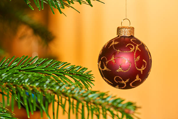 A detailed close-up of a red Christmas bauble with intricate gold patterns, hanging on a spruce tree (Picea abies) branch against a warm golden backdrop. A festive and decorative holiday theme.