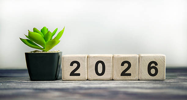 istock New year 2026 concept. Plain background text with a plant 2244868318