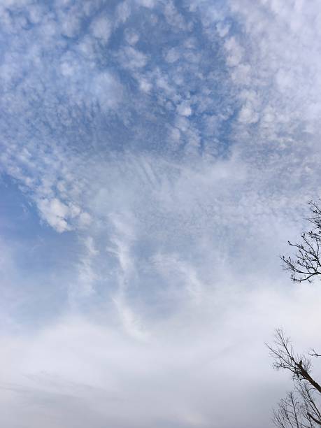 A solitary, leafless tree silhouetted against a vast, dramatic sky dominated by swirling cirrus clouds and shades of pale blue and white. Captures a moody, minimalist sense of winter or late autumn
