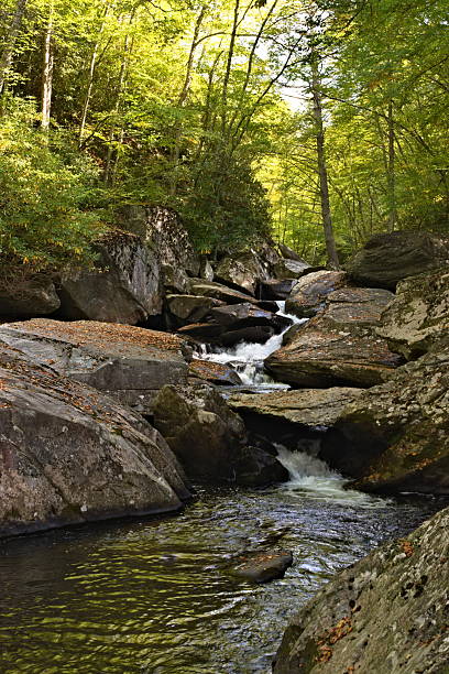 istock Boone Fork Trail Falls and Creek 2244872669