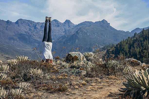 Woman performing a headstand yoga pose on a paramos landscape with frailejones plants, emphasizing balance and wellbeing against a majestic mountain backdrop in merida, venezuela