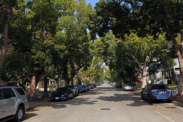 istock Treelined Street of Pasadena 2244884472