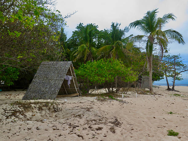 The soft sand and peaceful setting create a feeling of island simplicity and natural calm.