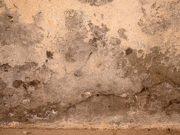 istock Grungy old wall surface with mold stains and moisture damage. Background, renovation theme and industrial texture 2244890307