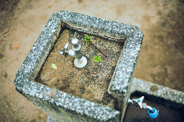 Japanese Garden Water