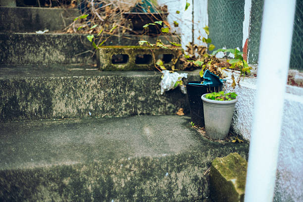 Weathered Concrete Steps with Potted Plants and Vines
