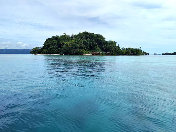 istock Friwen island, Raja Ampat, Indonesia 2244891412