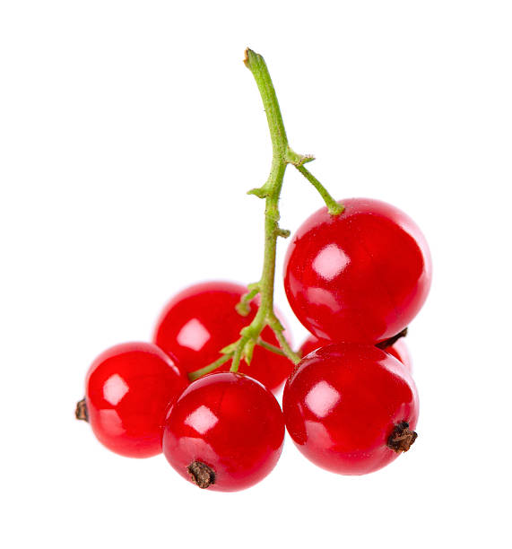 istock Red currant isolated on white background. Redcurrant or Ribes rubrum ripe berries. 2244906181
