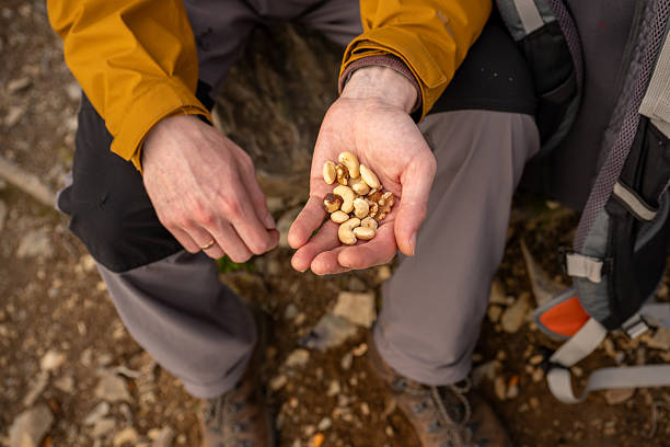 istock Hiker resting on trail holding nuts in hand during outdoor adventure 2244918367