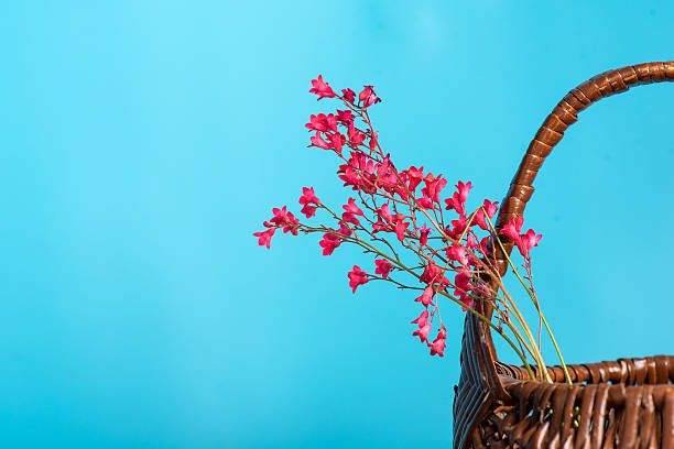 A lovely arrangement of delicate pink flowers beautifully placed in a woven basket against a bright blue backdrop, representing harmony between natural beauty and artisanal craftsmanship in a captivating image.