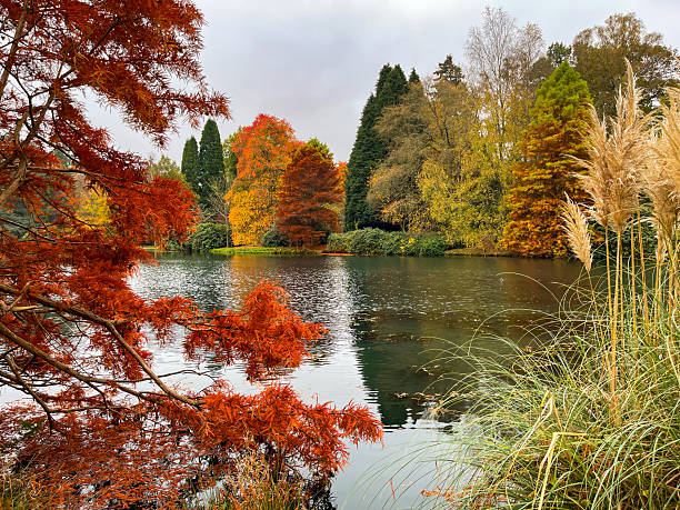 istock Nature in Autumn 2244923605