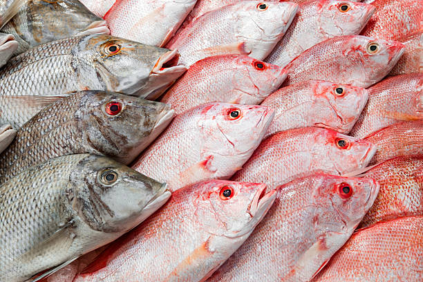 istock fishes, raw and fresh on ice, on market 2244927200