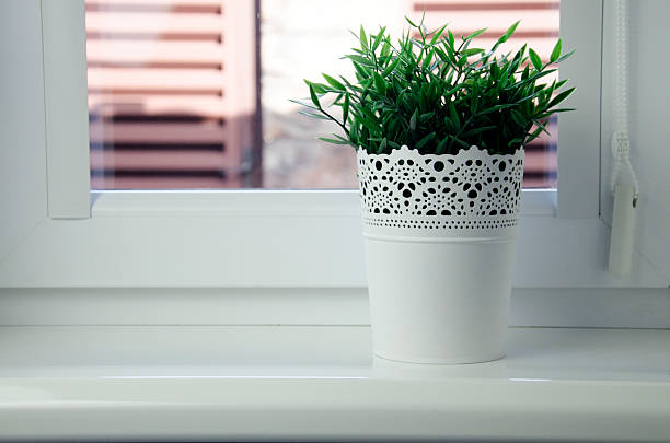 A potted plant on the floor by the balcony door. No people, copy space