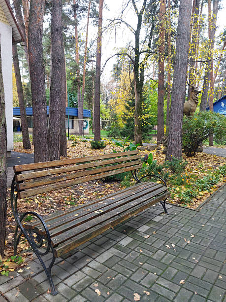 istock Wooden bench surrounded by trees in a quiet park area 2244932467