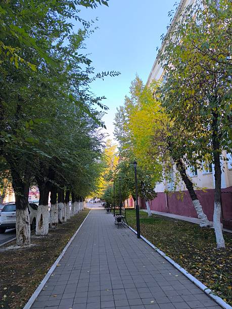 istock Peaceful Walkway Lined with Trees in Autumn, Serene Urban Landscape Scene with Paved Path 2244932545