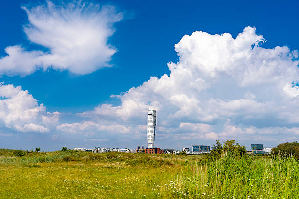 Skyline of Malmo Sweden with modern buildings seen from a natural meadow on a sunny summer day
