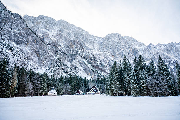 istock Snowy Nature In Winter 2244936555