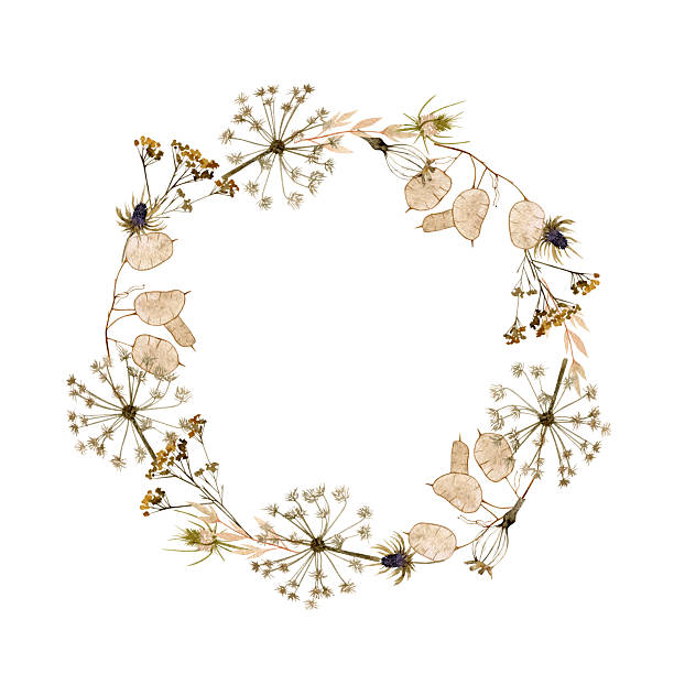 istock Watercolor dry grass and flowers wreath illustration. 2244936662