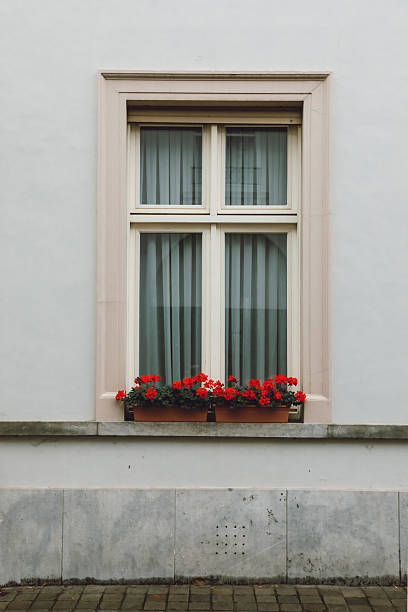 A clean minimal window detail of a European residential building in Belgium featuring a white painted facade, classic cream window frame, subtle curtains and a vibrant red geranium flower box. This elegant architectural close-up shows a charming urban detail often seen in Belgian old town streets, combining simplicity, color contrast and European lifestyle atmosphere for travel, architecture and design themed visuals