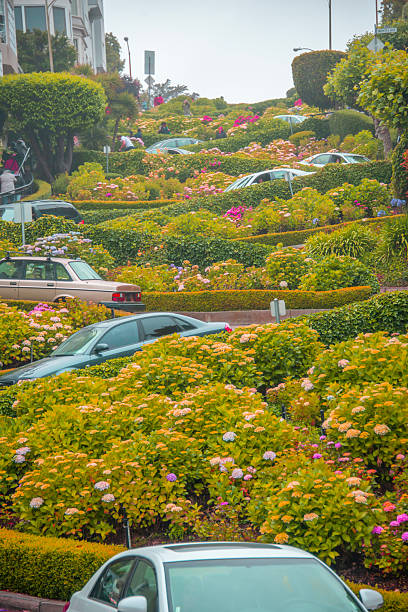istock Lombard Street 2244940761