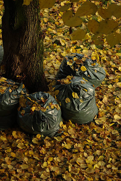 istock Autumn landscape with leaf bags under a tree 2244946037