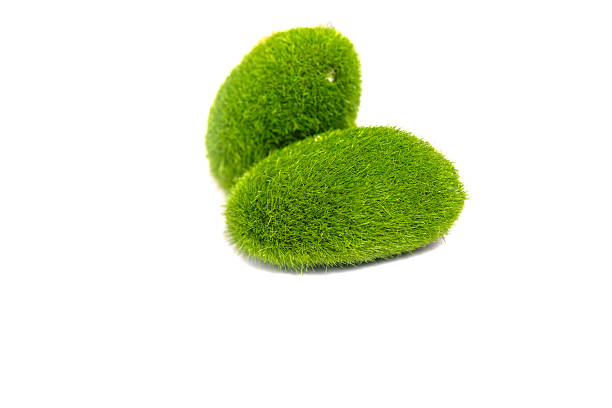 istock Light of grass and flowers: green stone 2244946243
