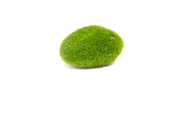Light of grass and flowers: green stone