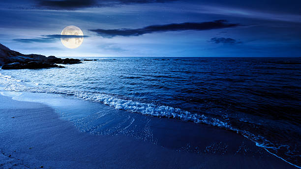 istock panoramic view of sand beach landscape at night 2244948084