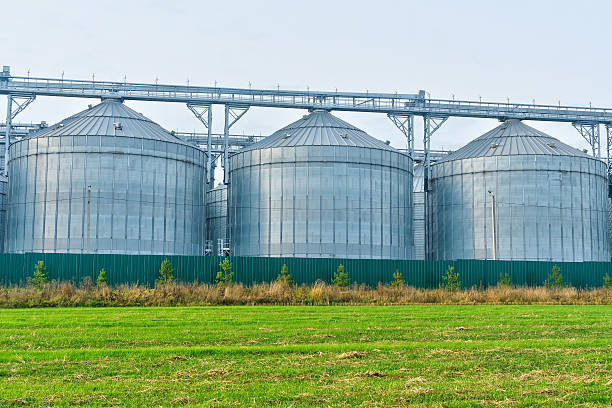 istock Grain storage silos under overcast sky, with expansive grassland nearby 2244948580