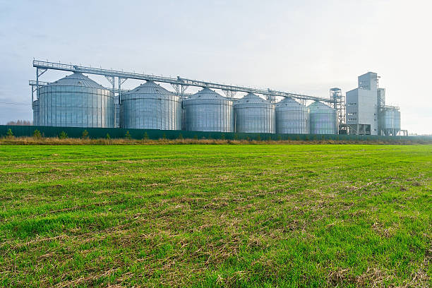 istock Rural scene: row of grain silos, green field, and industrial infrastructure 2244948752