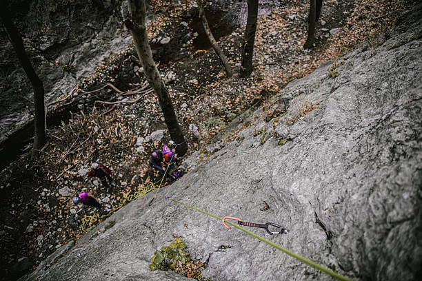 A line of climbers descends a rugged rock cliff using ropes and carabiners, surrounded by trees and autumn leaves. This outdoor adventure shot captures teamwork, safety, and outdoor sport.