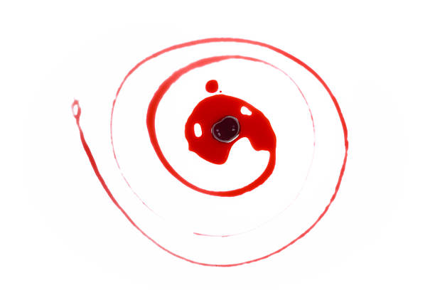 A single cherry berry anchors a red spiral trail, evoking molecular swirl, cellular division, and the visual rhythm of culinary minimalism.
