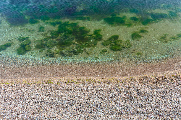 A serene close-up of tranquil shallow water revealing sandy bottom with green algae patches. Pebbly shore in light brown, gray, and white. Perfect for nature, beach, and water-themed collections.