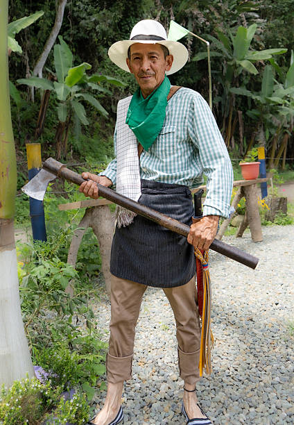 istock Lumberjack working on the farm 2244958822