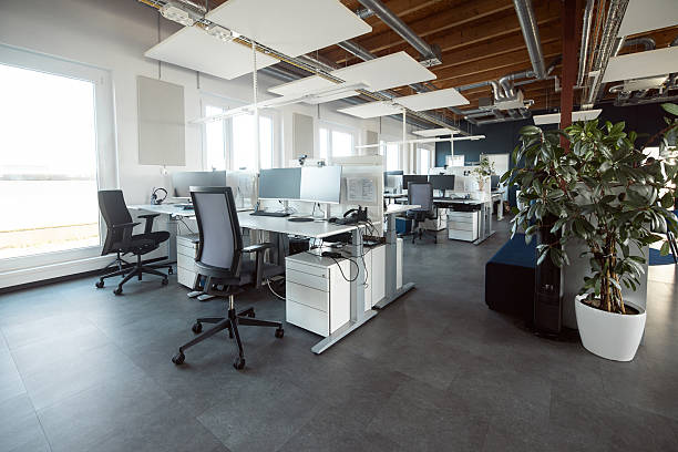istock Modern Office Workspace in Berlin, Well-Lit and with Ornamental Plant 2244960492