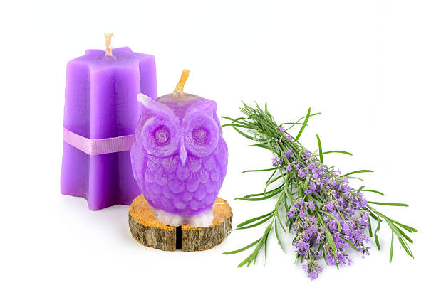A soothing composition featuring decorative purple candles, including an owl-shaped candle, next to a fresh bouquet of aromatic lavender. Isolated on a white background, this image conveys relaxation, spa treatments, and natural aromatherapy.