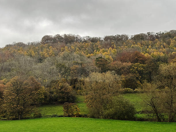Scenic view of a lush green hillside with rocky foreground under a cloudy sky at Brimham Rocks in North Yorkshire.