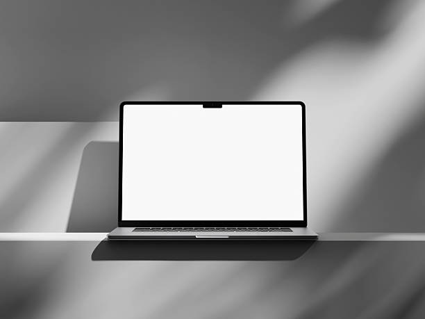istock Laptop with blank screen and soft plant shadow on desk 2244967013