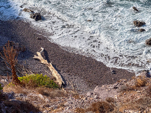 Beautiful view of a sandy beach surrounded by cliffs and dead tree stump on the beach