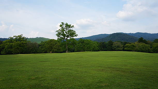 istock Landscape and Deer at Nara Park, Japan 2244971985