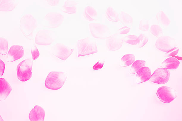 A flora colour