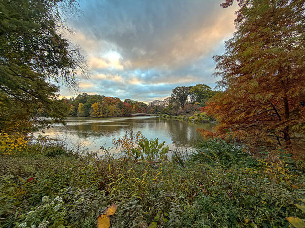istock Bow bridge view in autumn at lake 2244976139