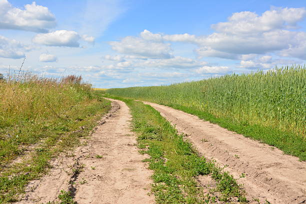 Dirt Road Winding Through Green agricultural Fields Under a Blue Sky with flying clouds