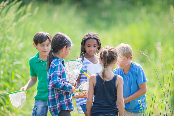istock Diverse Group of Children Exploring Outdoors With Nets in a Lush Field 2244988488