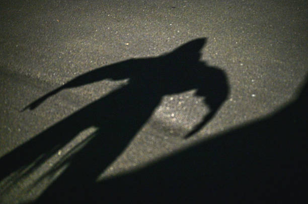 istock Child making fun shadow walking on asphalt at night 2244991961