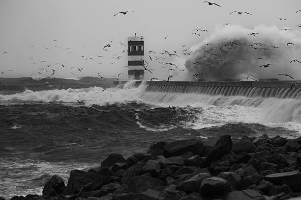 A powerful storm surge crashes against a coastal lighthouse as dozens of seabirds circle above the turbulent sea. The dramatic black-and-white scene captures raw natural force and the relentless interaction between man-made structures and the ocean. The atmosphere conveys intensity, isolation, and maritime resilience. Porto Portugal